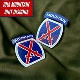 3D-printed 10th Mountain Division insignia display with blue, red, and white design, available in multiple sizes.