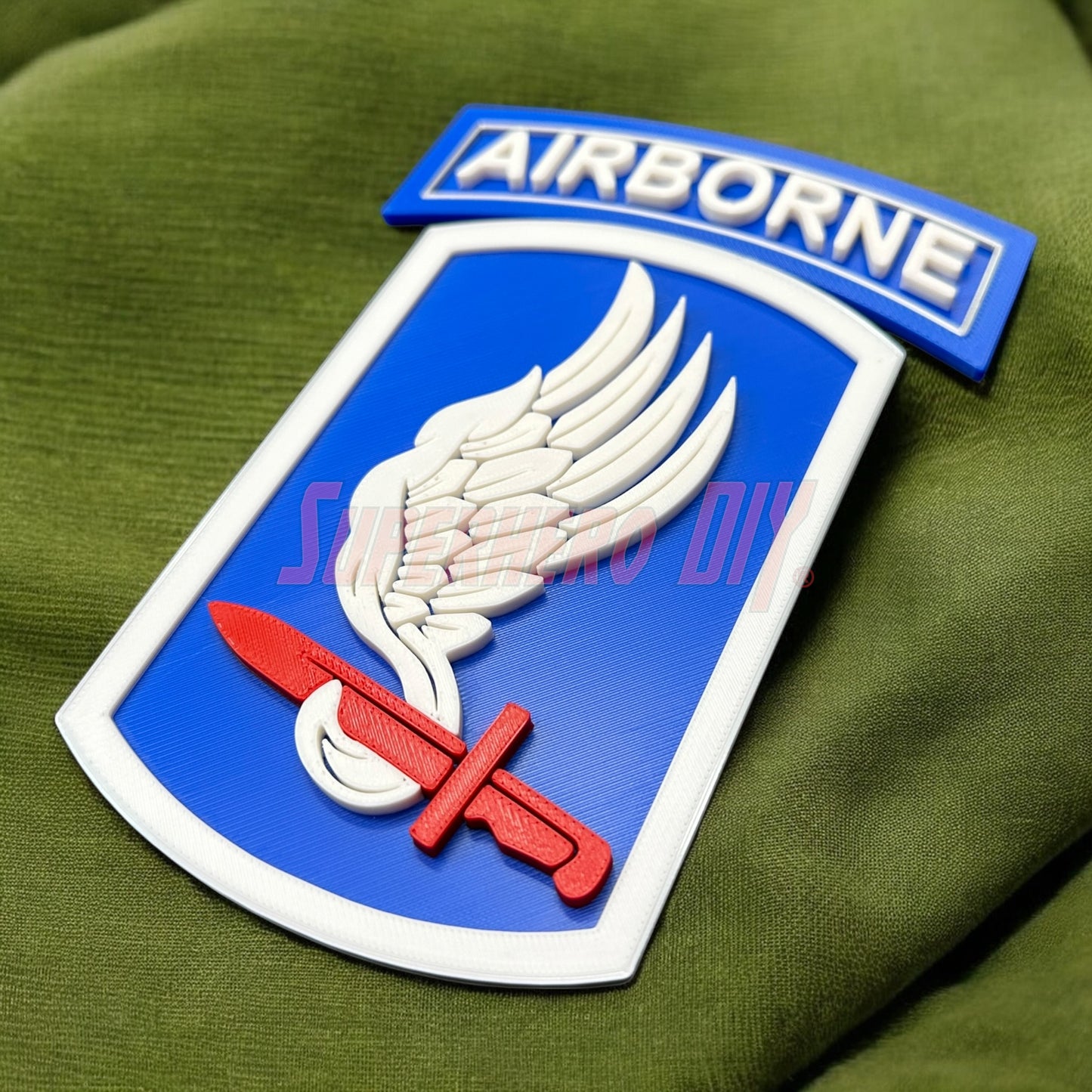173rd Airborne Brigade display insignia featuring wings and sword on a green fabric background.