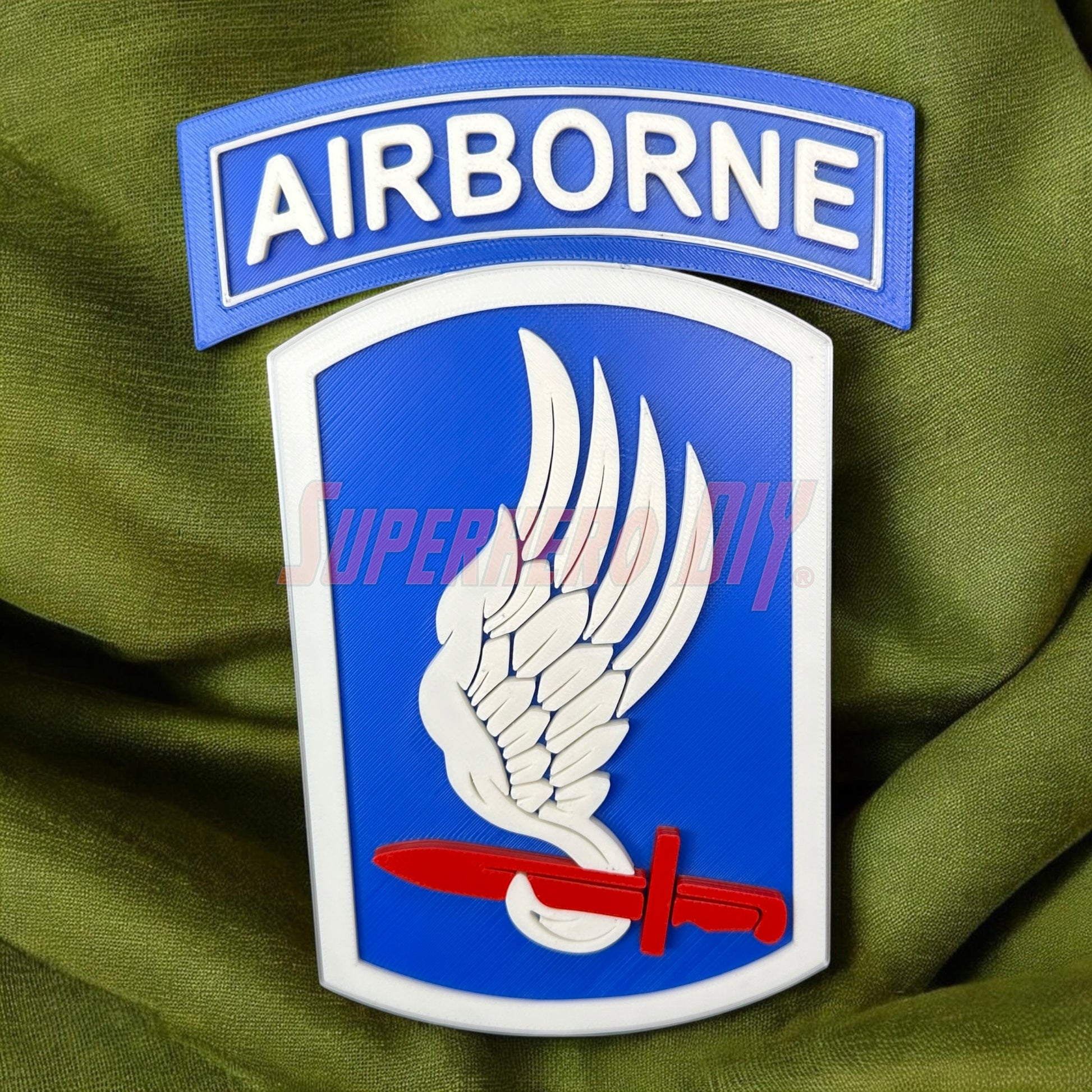 173rd Airborne Brigade display insignia featuring wings and sword design on a blue and white background.