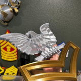 Navy enlisted rate insignia featuring silver eagle and gold rank insignia display for collectors.