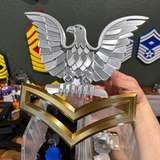 Navy enlisted rate insignia featuring an eagle and gold chevrons for display purposes.