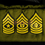 Army enlisted rank insignia for Sergeant ranks, featuring multiple designs in bold colors.