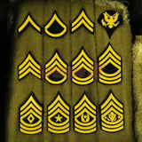 Various 3D-printed Army enlisted rank insignia showcasing multiple ranks and colors.