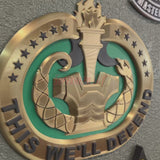 Drill Sergeant Badge Insignia Multiple Sizes for Shadow Box or Wall