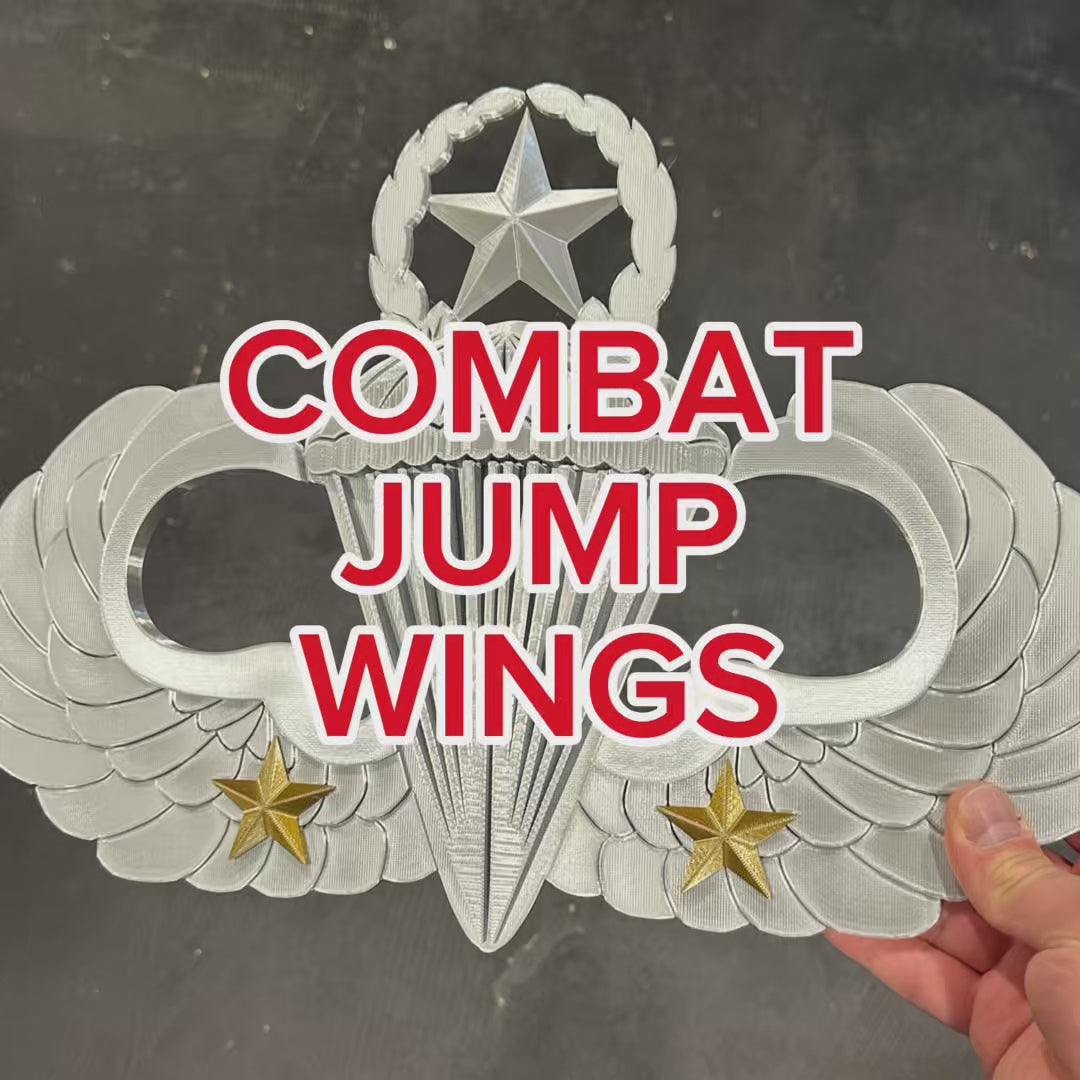 Combat Jump wings, in shiny silver 
